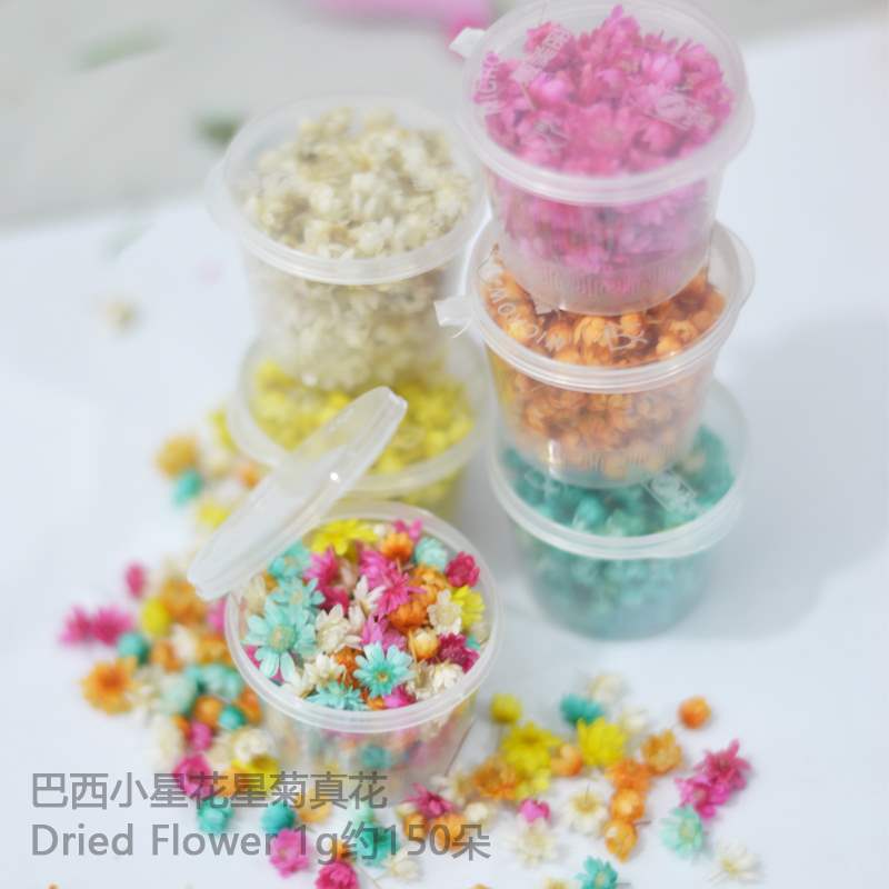 小星花花头diy干花包水晶滴胶无杆花材料包玻璃球填充物彩垒德株