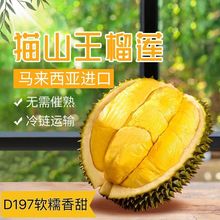 正宗马来西亚榴莲D197猫山王液氮带壳冷冻一整箱进口水果包邮