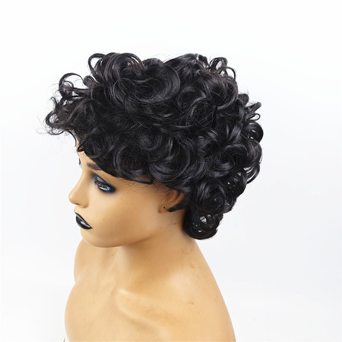 Wigs Women's Short Curly Afro Explosion Hair Small Curl Cross-border Foreign Trade Fashion Synthetic Headwear Dropshipping Supported