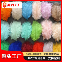 現物卸売りカラーダチョウ毛15-20cm結婚祝い飾りネット赤い壁飾り羽壁花束diy材料