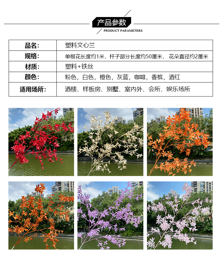 文心兰_02.jpg