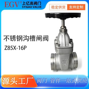 �������˹TWT���P�304�ϲ۰��U�l�yZ85X-16Pܛ�ܷ����������l�y