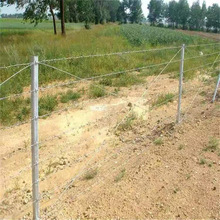 ݴNȦظxF̾ F޼ BֳK ݈xFz