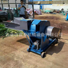 养殖肉鸭牛羊青饲料打浆机 苞米秸秆超细打浆机 甜象草苜蓿揉丝机