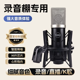 麦克风/话筒;影音电器配件;专业话筒