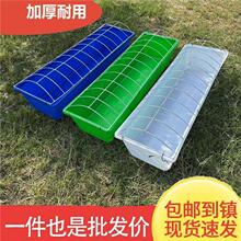 �¿��L���μӺ����Zʳ��ι�u����ιʳ���uʳ���ϲ�ţ��������ò�