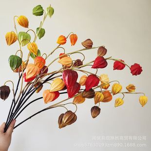 ���Sֱ�N ����PU�������\�����\���lؔ���t�� ��c�廨ˇ�b����