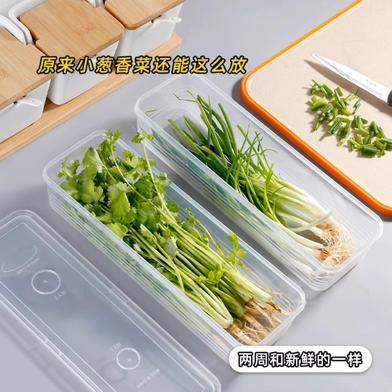 鮮度保持箱食品級ネギ香菜コリアンダー一本姜にんにくそうめん条卵収納整理箱冷蔵庫専用|undefined