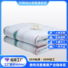 定制款儿童双宫茧蚕丝被桑蚕长丝填充桐乡手工蚕丝被芯被子可拆洗