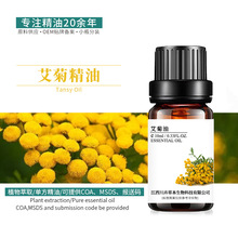 艾菊精油 摩洛哥蓝艾菊油 植物精油 日化原料批发 报送码10ml拿样