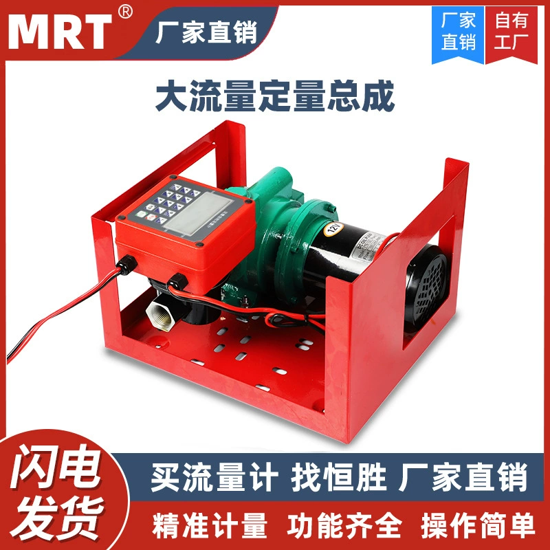 Недавно Модернизированный электронный количественный большой поток топливного насоса в сборе Электрический масляный насос распределитель топлива 12V24V220V