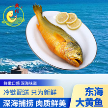 ��~���Ƽ��r�|�����S�~��ϴ�����������ٰlˮ�a���r������r