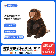 ���޶��ƿ�ͨ�B��ë�q��߷�����﹫�в����ރ�ͯ��ż��D����