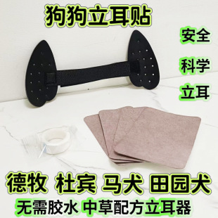 ���������N���������o������̶����»����e�RȮ����߅��С������