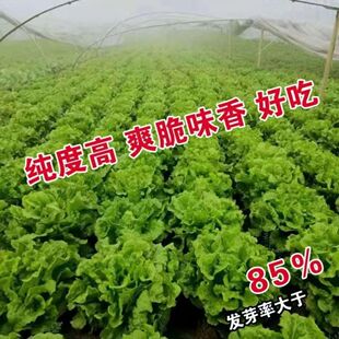 ��۲���������N�ӷN�����̨�N���ļ����Զ���ɳ��������R�N��