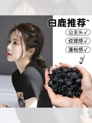 Frontal Princess Small Claw Hairpin, Mini Fringe Hair Clips, Side-Swept Bangs Hair Accessories for Women, Influencer Style Hairpins