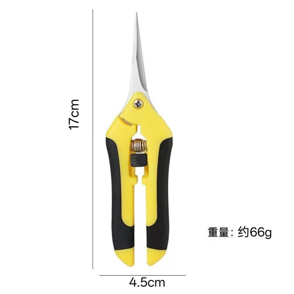 微信图片_20251225111713_339_1