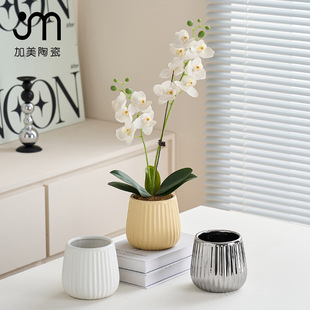 ����̖�Q�y���� �o�׿׃��������� ���W���s�L ���滨ˮ��ֲ���m