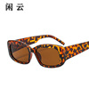 Trend square fashionable sunglasses suitable for men and women, internet celebrity, European style