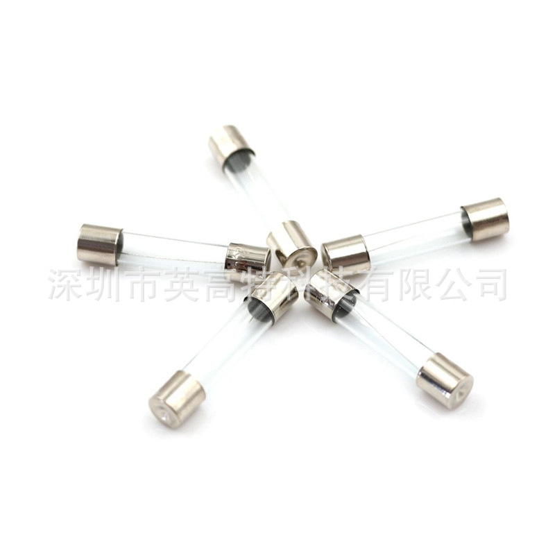 玻璃保险丝6x30 (10)