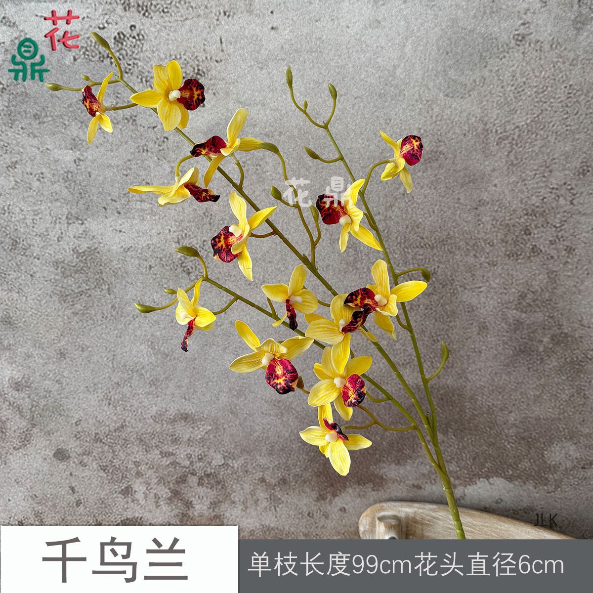 JLK Chim Xanh Vàng