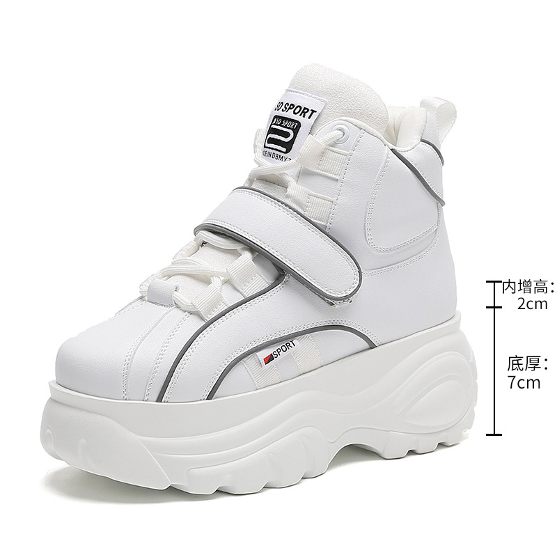 화이트