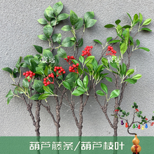 ?���J�ٗl���J���~diy�k���ҿ͏d������w�_�I�bɏ�