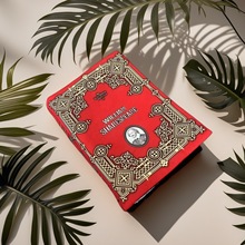 跨境新品莎士比亚毛绒创意玩具Shakespeare 抱枕书本公仔玩偶现货