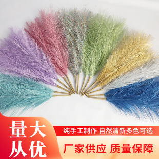 ���R�d��������JȔ45cm�羳����˹�� �[����Y�Շ��}�Q��6�