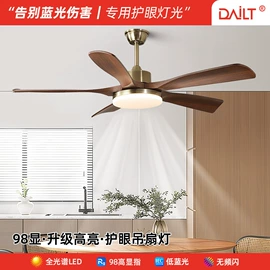 吸顶灯;射灯;吊灯