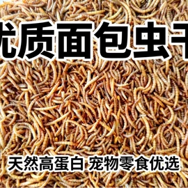 仓鼠零食;鸟类;鸟食