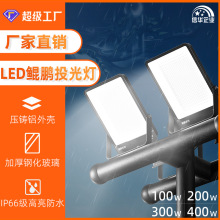 ����W��@�������l����e��ˮIP66��������ledͶ��������