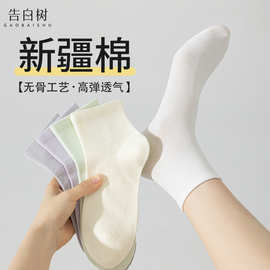 袜子女春夏新款棉袜纯色百搭新疆棉透气吸汗无骨女袜短筒月子袜女