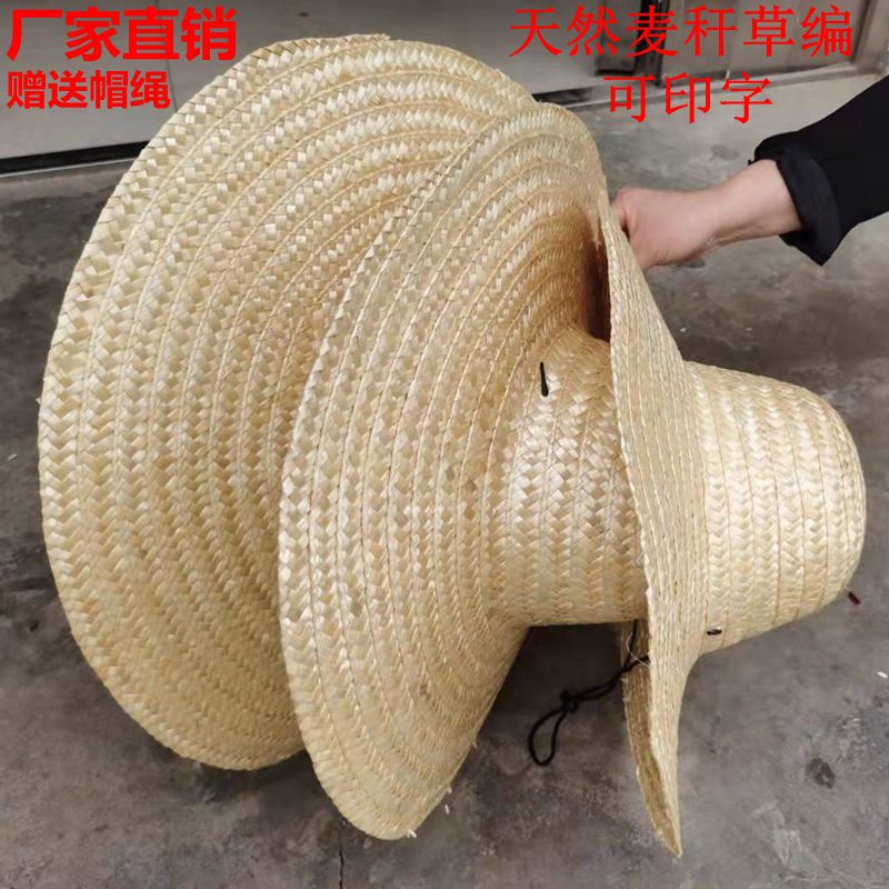 微信图片_20210924120902_副本