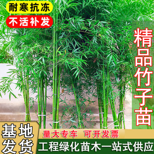 ������ͥԺ�G�����x���ļ��L����@�������������^�쾰�[��