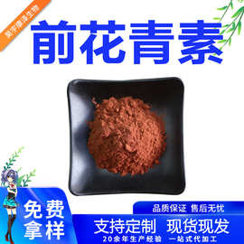 前花青素松树皮提取物新食品原料厂家现货量大从优