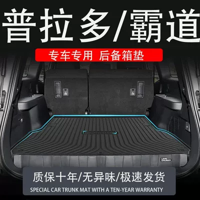 for 25 Models of 24: Trunk Mat