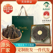 ������Ǿ��Gɫɭ�ָߙn�Y���I���L݅�����ͶY����ɽ��Y����Ǿ�