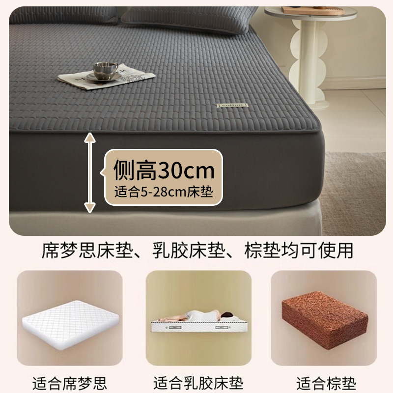 Sombrilla de cama acolchada de algodón de soja de una sola pieza cubierta protectora de colchón grueso de algodón puro 2025 nueva cubierta de cama Four Seasons Universal 3