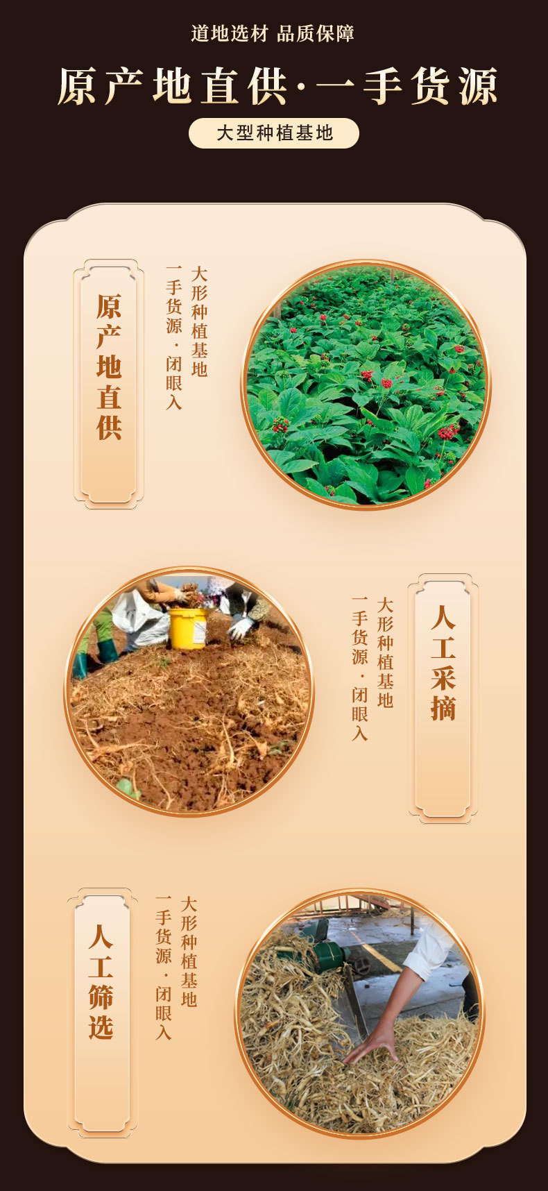American Ginseng Slices Xi Yang Shen 150g Canister Changbai Mountain Panax quinquefolius Root for Tea and Cooking key features