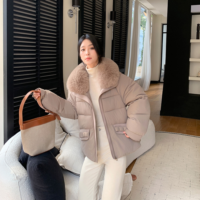 Comercio exterior 2025 ropa de algodón de mujer con solapa de gran cuello de cabello corto de invierno nuevo abrigo suelto ropa de algodón coreana image 3