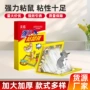 灵盾加厚加大家用老鼠贴