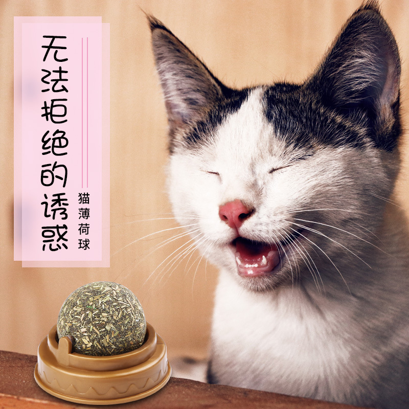 Cat snacks, cat mint balls, lollipops, cat supplies, cat candies, cat toys, cat teasing sticks, wooden knotweed grinding sticks