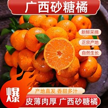 ɰ���ُV��ɳ�ǽ�Сɰ�������������������]���rˮ��ɰ�ǽ�һ��