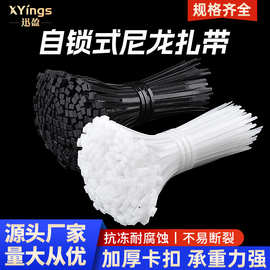迅盈国标尼龙扎带黑白色现货自锁式塑料扎带束线捆绑扎带条扎线带