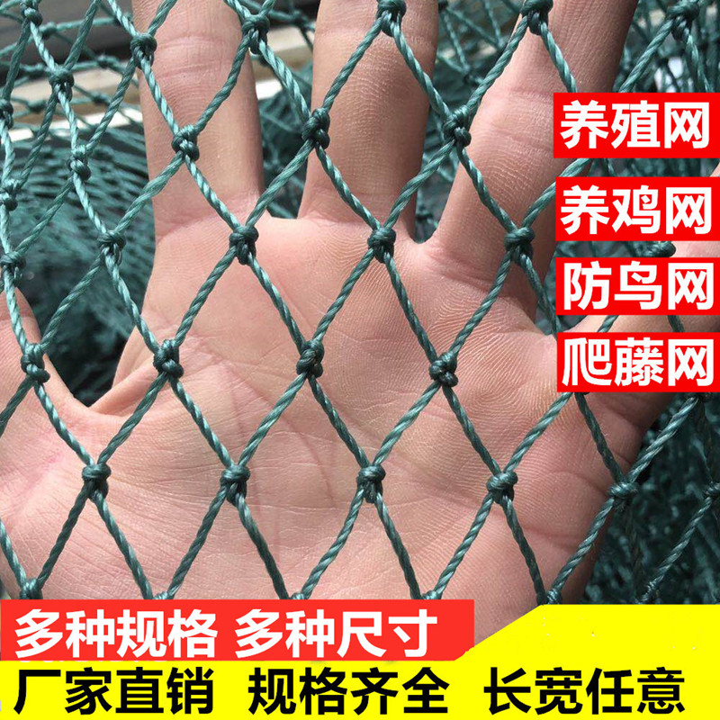 Red de cría de nailon Red de pollo Red de faisán Red de cerca Red de bloqueo de pollo Red de huerto Red de protección Red a prueba de pájaros