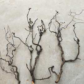 龙枣树枝天然弯曲造型枝条干支艺术插花软装材料枯枝森系创麦太保