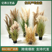 仿真蒲苇干花盆栽大型仿真芦苇仿真花洋葱草盆景装饰商场室内外