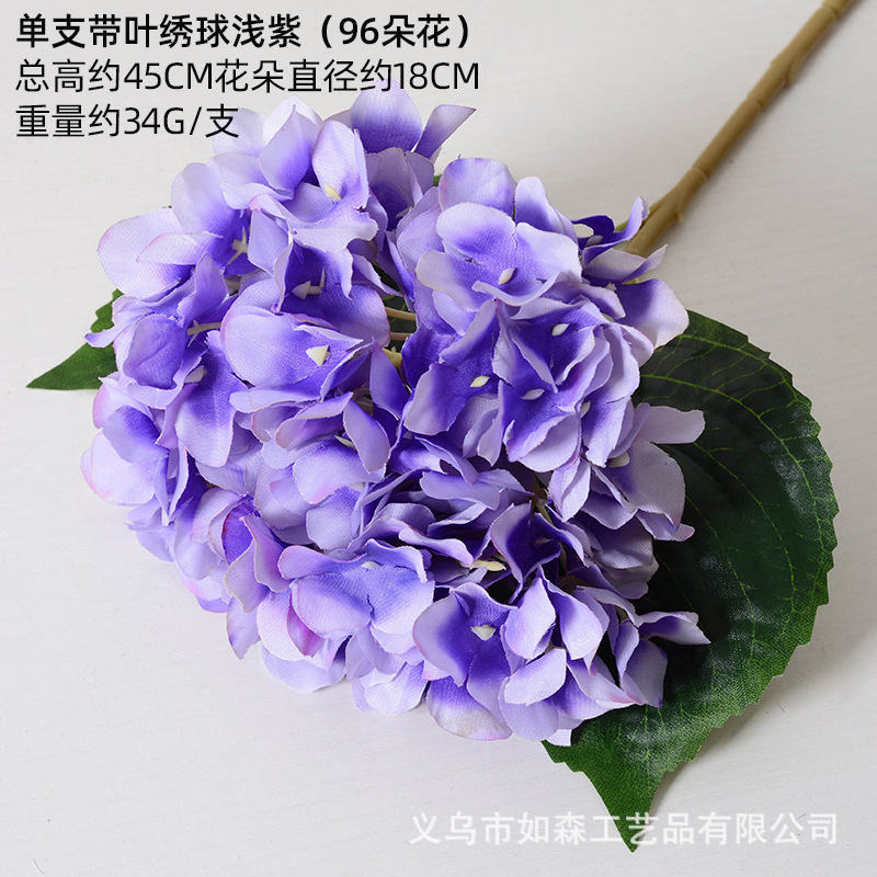 Hortensia sola con hojas violeta claro