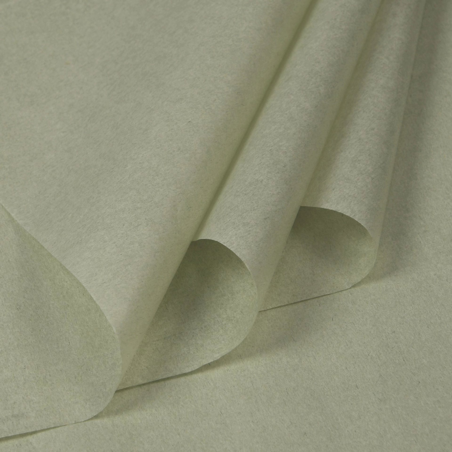 단색 새싹 녹색 36 사진